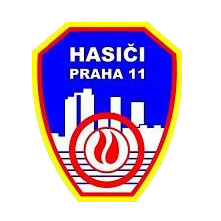 Primary Raster logo